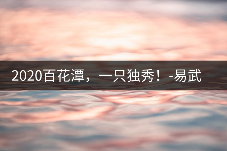 2020百花潭，一只獨秀！-易武中聘號