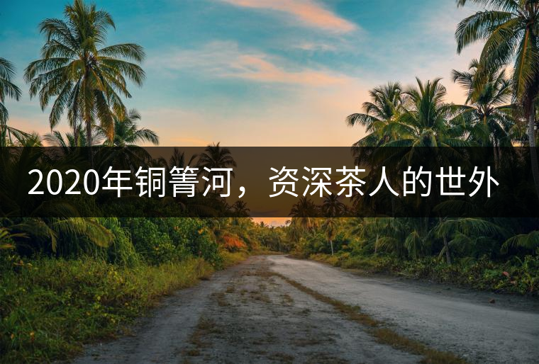 2020年銅箐河，資深茶人的世外桃源-易武-易武中聘號