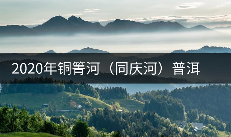 2020年銅箐河（同慶河）普洱茶，野味真難尋！-易武中聘號
