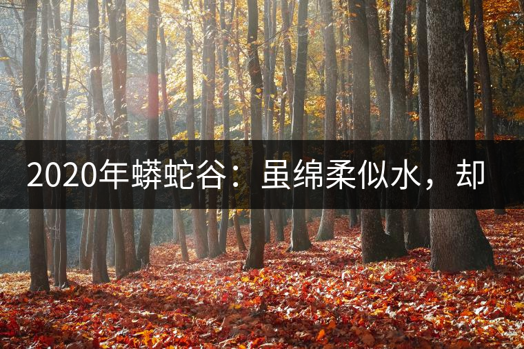 2020年蟒蛇谷：雖綿柔似水，卻氣場十足-易武中聘號