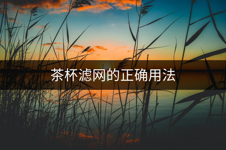 茶杯濾網(wǎng)的正確用法