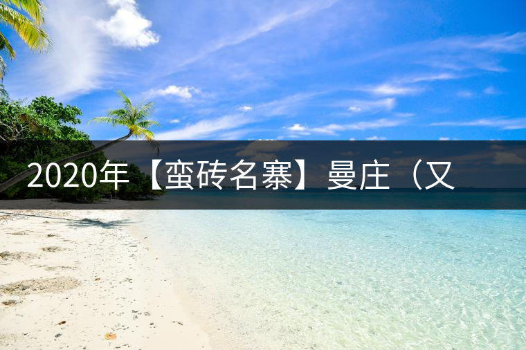 2020年【蠻磚名寨】曼莊（又作：蠻磚、曼磚）-易武中聘號(hào)