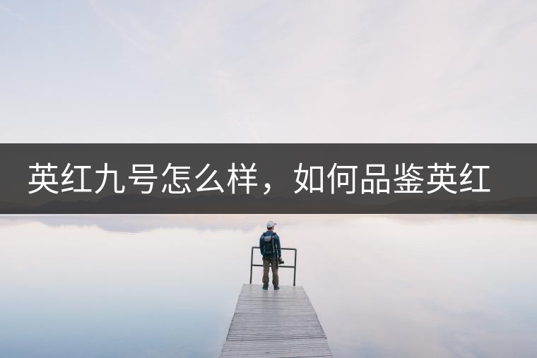 英紅九號怎么樣，如何品鑒英紅九號紅茶