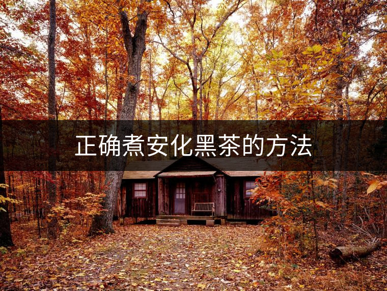 正確煮安化黑茶的方法