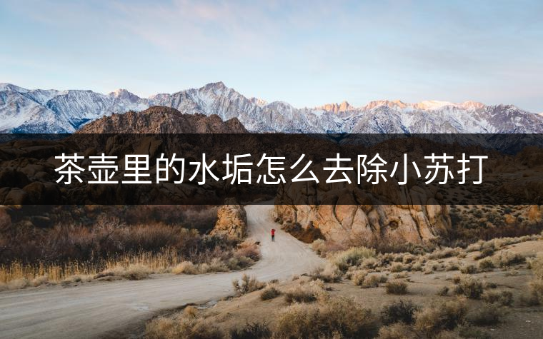 茶壺里的水垢怎么去除小蘇打