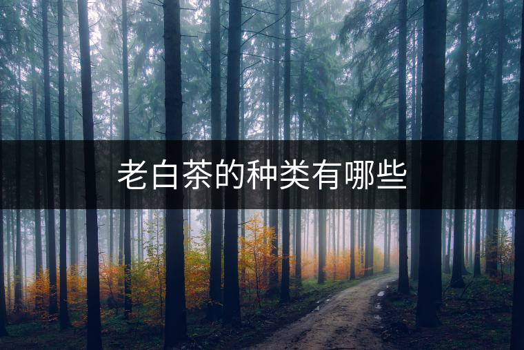 老白茶的種類有哪些