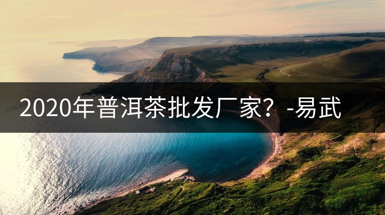 2020年普洱茶批發(fā)廠家？-易武中聘號