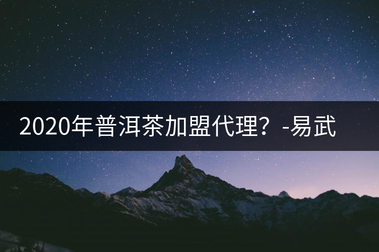 2020年普洱茶加盟代理？-易武中聘號(hào)