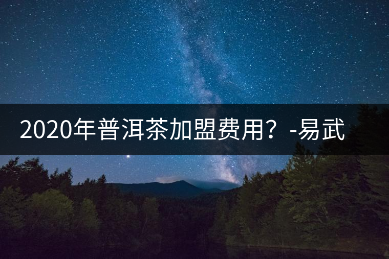 2020年普洱茶加盟費用？-易武中聘號