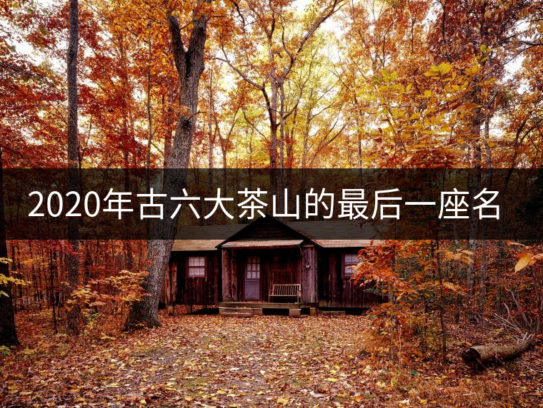 2020年古六大茶山的最后一座名山——攸樂山。-易武中聘號(hào)