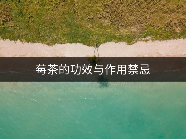 莓茶的功效與作用禁忌