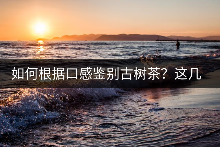 如何根據(jù)口感鑒別古樹(shù)茶？這幾個(gè)技巧值得收藏