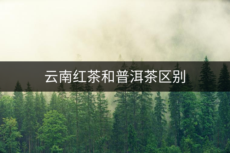 云南紅茶和普洱茶區(qū)別 云南紅茶和普洱茶區(qū)別