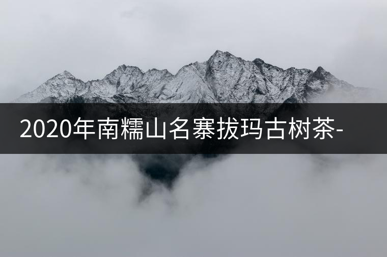 2020年南糯山名寨拔瑪古樹茶-易武中聘號 2020年南糯山名寨拔瑪古樹茶-易武中聘號