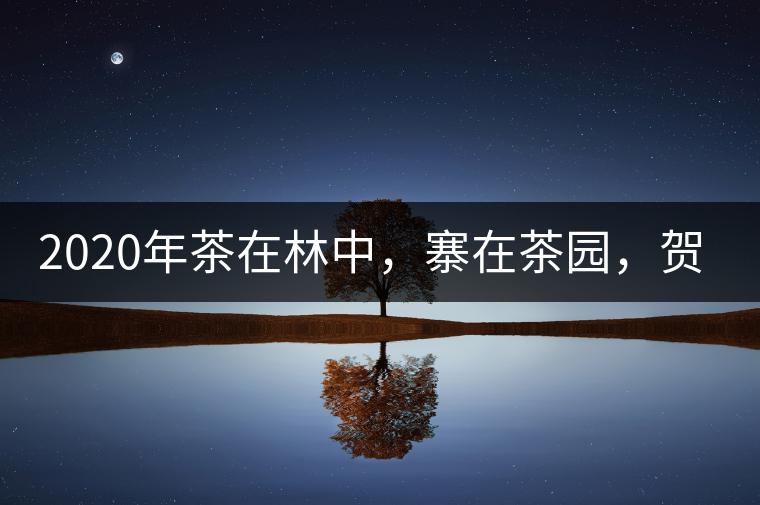 2020年茶在林中，寨在茶園，賀開古樹茶-易武中聘號