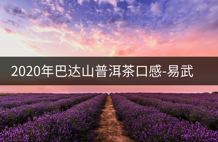 2020年巴達(dá)山普洱茶口感-易武中聘號(hào) 2020年巴達(dá)山普洱茶口感-易武中聘號(hào)