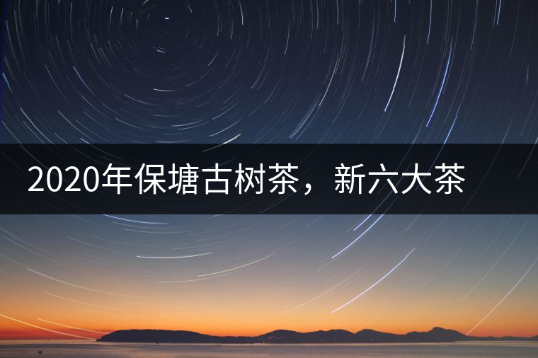 2020年保塘古樹茶，新六大茶山之勐宋茶佼佼者-易武中聘號