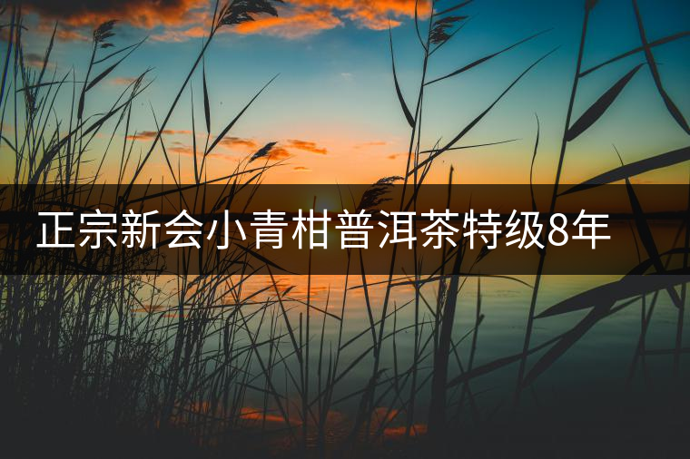 正宗新會小青柑普洱茶特級8年宮廷熟茶普橘普高檔禮盒裝內(nèi)含茶具 正宗新會小青柑普洱茶特級8年宮廷熟茶普橘普高檔禮盒裝內(nèi)含茶具