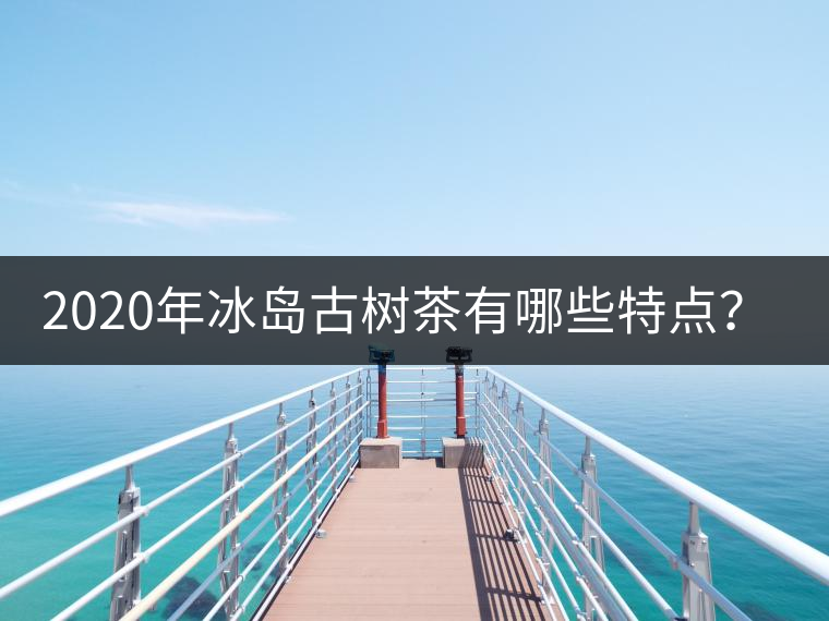 2020年冰島古樹(shù)茶有哪些特點(diǎn)？-易武中聘號(hào)