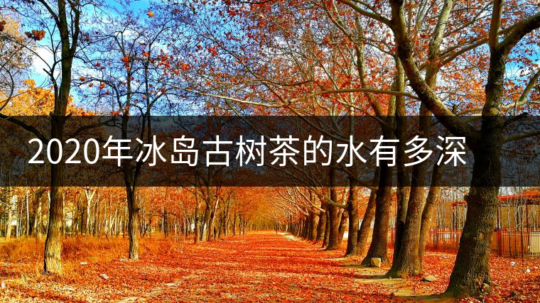 2020年冰島古樹茶的水有多深？別被蒙在鼓里啦-易武中聘號