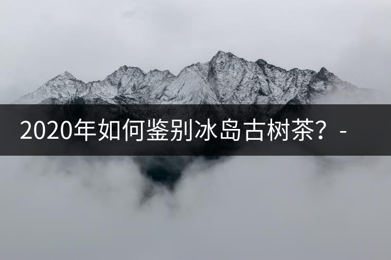 2020年如何鑒別冰島古樹(shù)茶？-易武中聘號(hào)