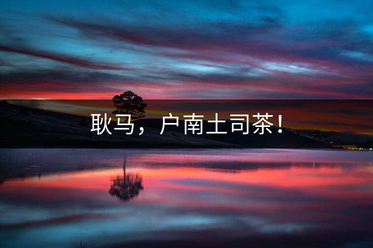 耿馬，戶南土司茶！