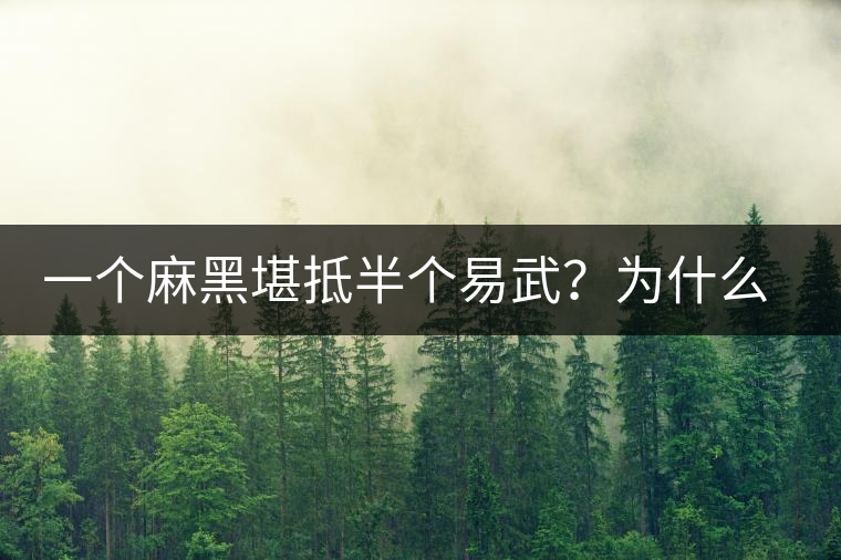 一個麻黑堪抵半個易武？為什么這么好喝？