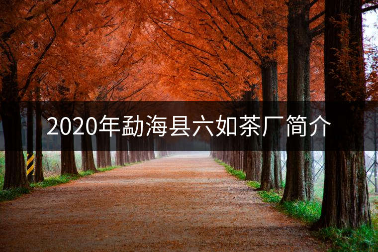 2020年勐?？h六如茶廠簡(jiǎn)介
