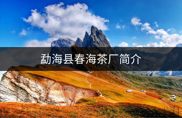 勐?？h春海茶廠簡介