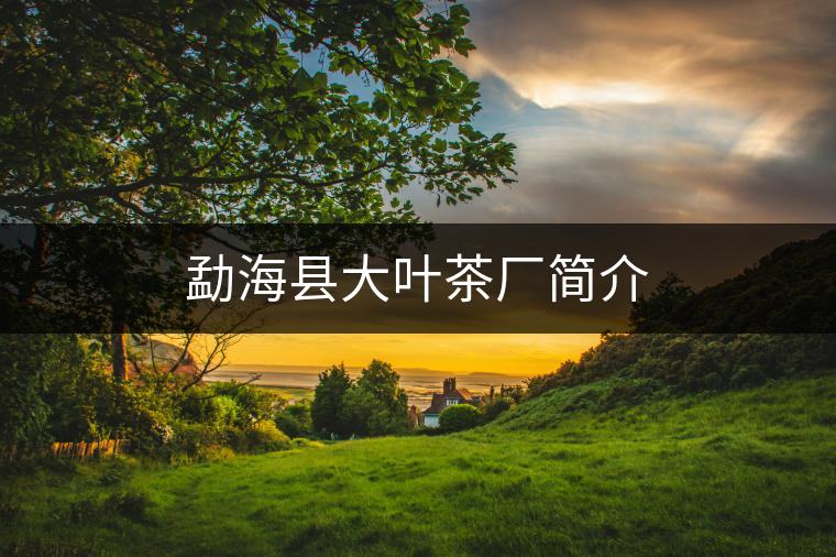 勐?？h大葉茶廠簡介