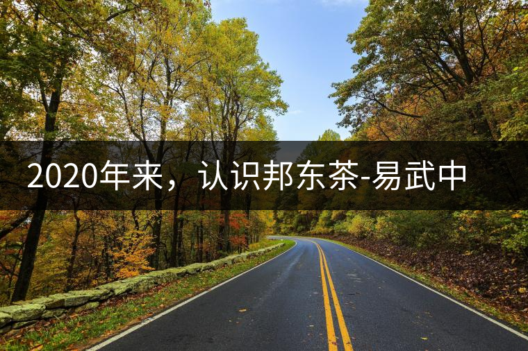 2020年來(lái)，認(rèn)識(shí)邦東茶-易武中聘號(hào)