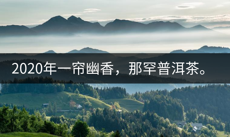 2020年一簾幽香，那罕普洱茶。-易武中聘號(hào)