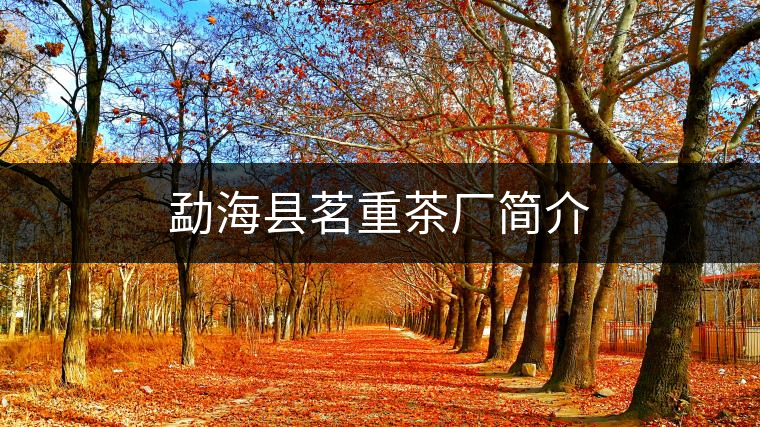 勐??h茗重茶廠簡介 勐??h茗重茶廠簡介