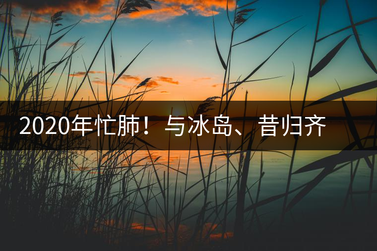 2020年忙肺！與冰島、昔歸齊名的普洱茶，到底是什么味道？-易武中聘號(hào)