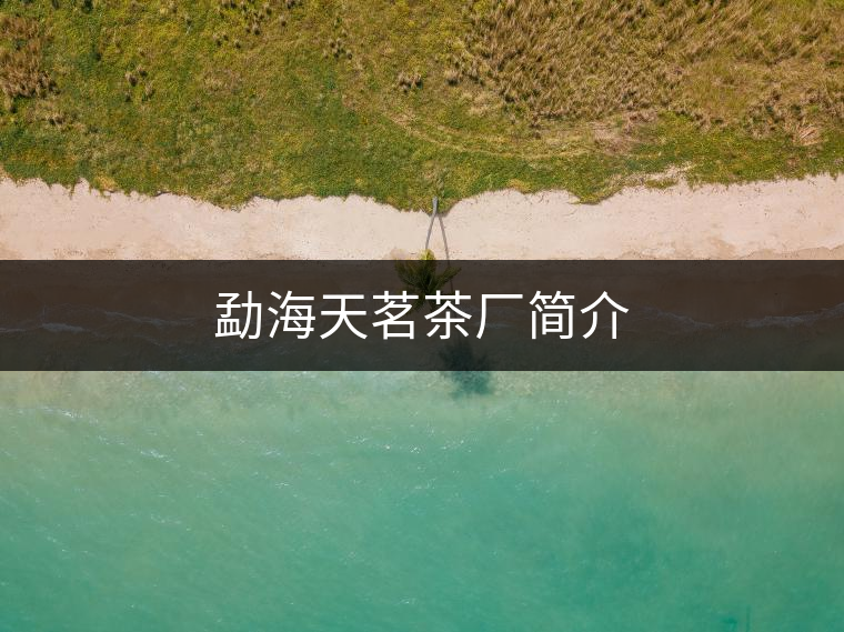 勐海天茗茶廠簡(jiǎn)介 勐海天茗茶廠簡(jiǎn)介