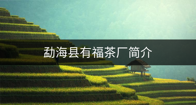 勐海縣有福茶廠簡(jiǎn)介 勐??h有福茶廠簡(jiǎn)介