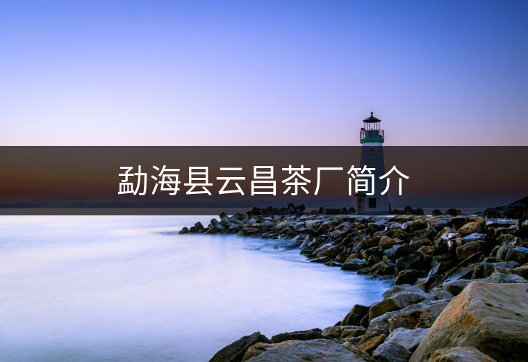 勐?？h云昌茶廠簡介