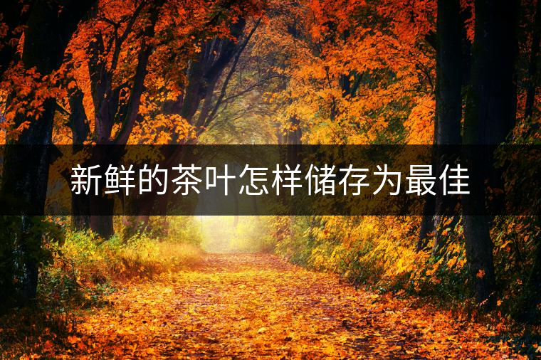 新鮮的茶葉怎樣儲(chǔ)存為最佳