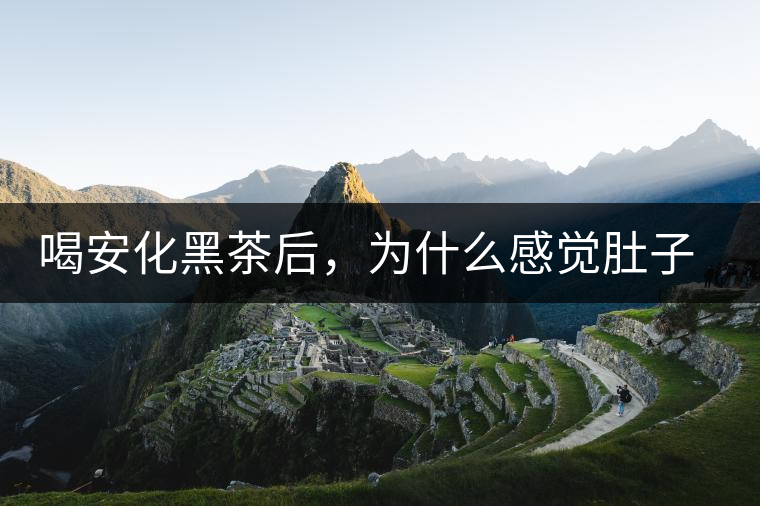 喝安化黑茶后，為什么感覺肚子餓的快？