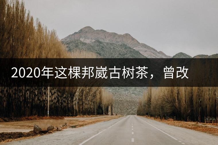2020年這棵邦崴古樹茶，曾改寫普洱茶歷史！-易武中聘號(hào)