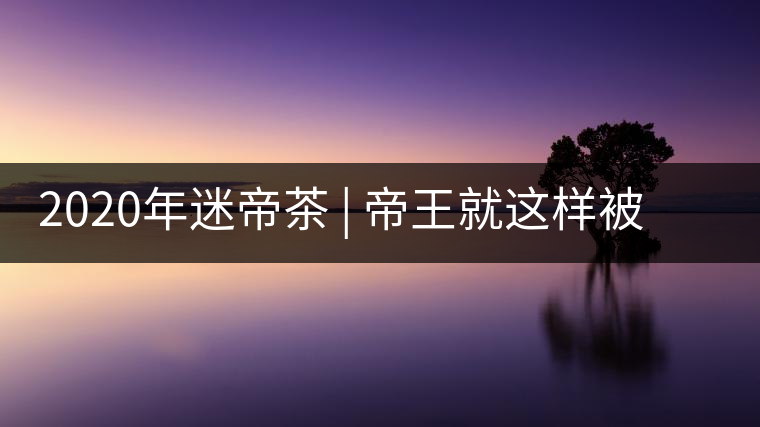 2020年迷帝茶 | 帝王就這樣被迷住了？-易武中聘號