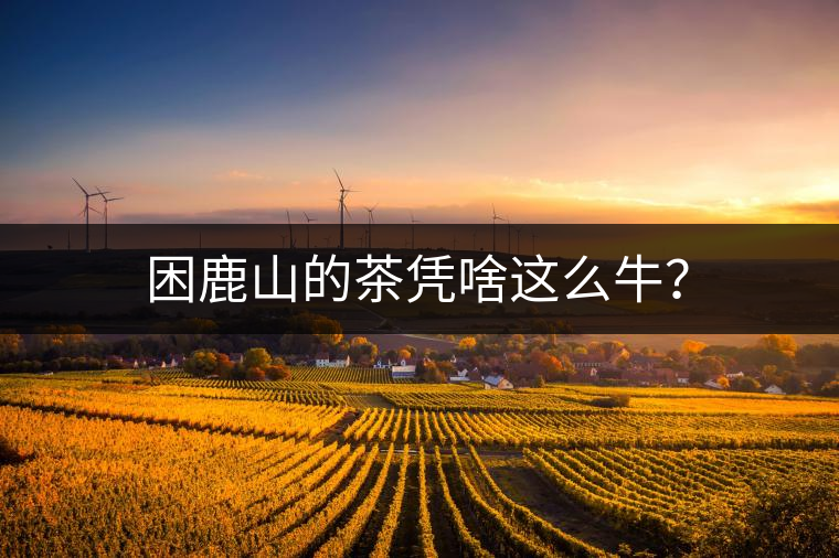 困鹿山的茶憑啥這么牛？