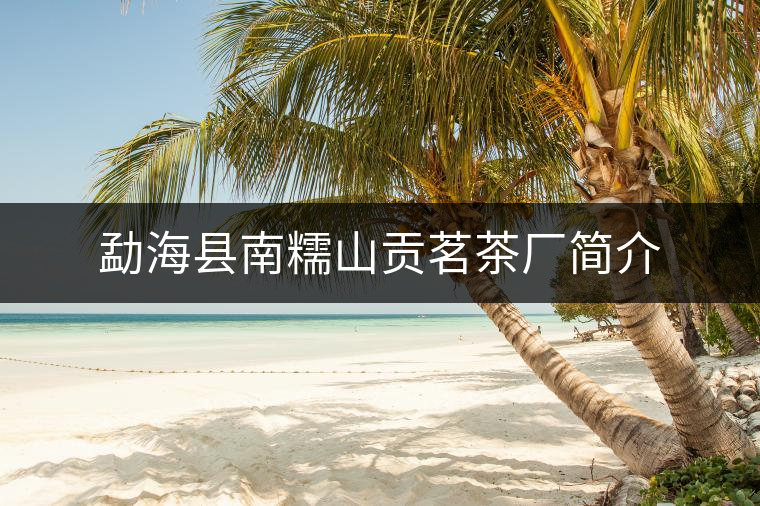 勐?？h南糯山貢茗茶廠簡介