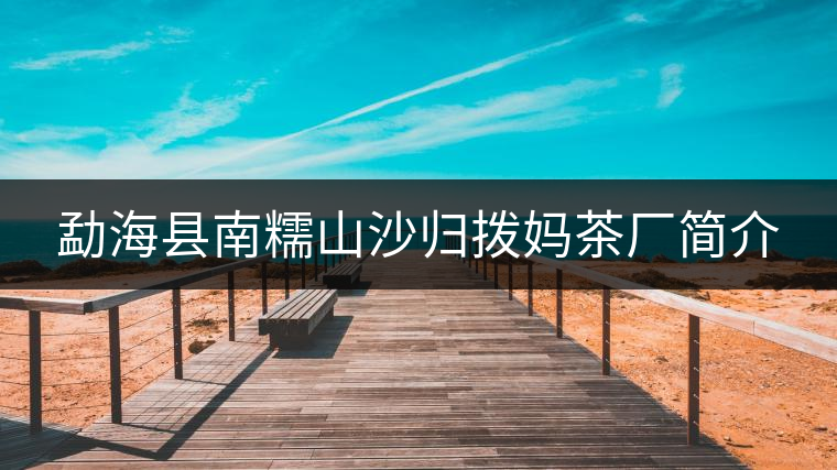 勐?？h南糯山沙歸撥媽茶廠簡介