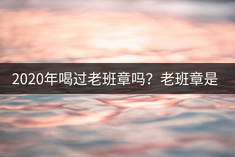 2020年喝過老班章嗎？老班章是什么味道？-易武中聘號