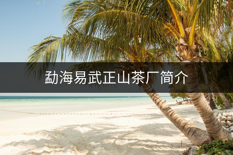 勐海易武正山茶廠簡(jiǎn)介 勐海易武正山茶廠簡(jiǎn)介