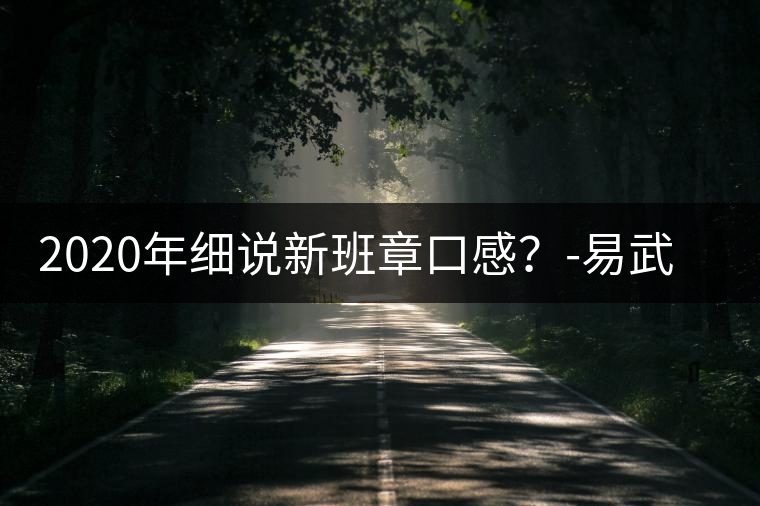 2020年細(xì)說新班章口感？-易武中聘號