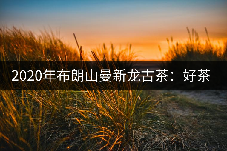 2020年布朗山曼新龍古茶：好茶需細(xì)品-易武中聘號(hào)