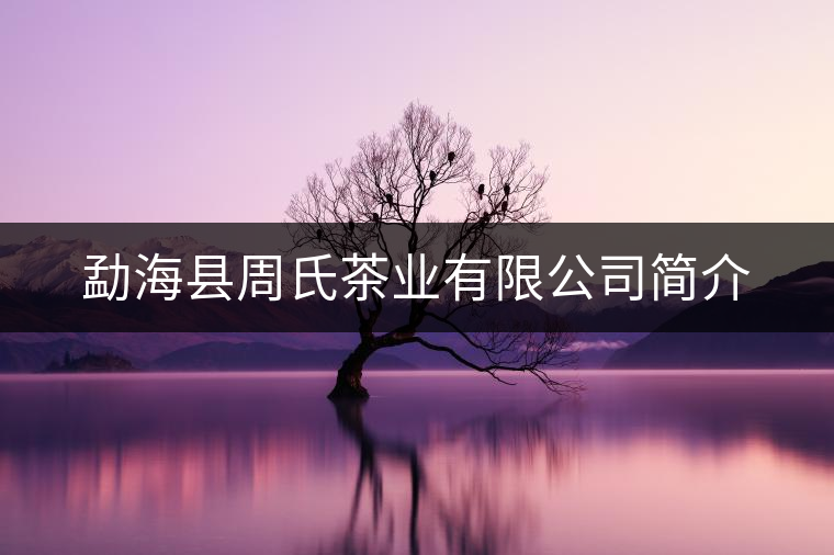 勐?？h周氏茶業(yè)有限公司簡(jiǎn)介