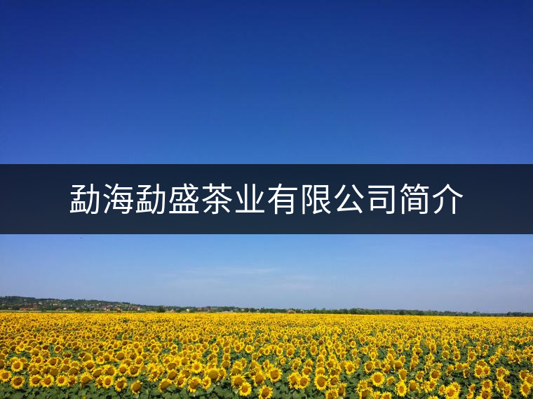 勐海勐盛茶業(yè)有限公司簡(jiǎn)介 勐海勐盛茶業(yè)有限公司簡(jiǎn)介